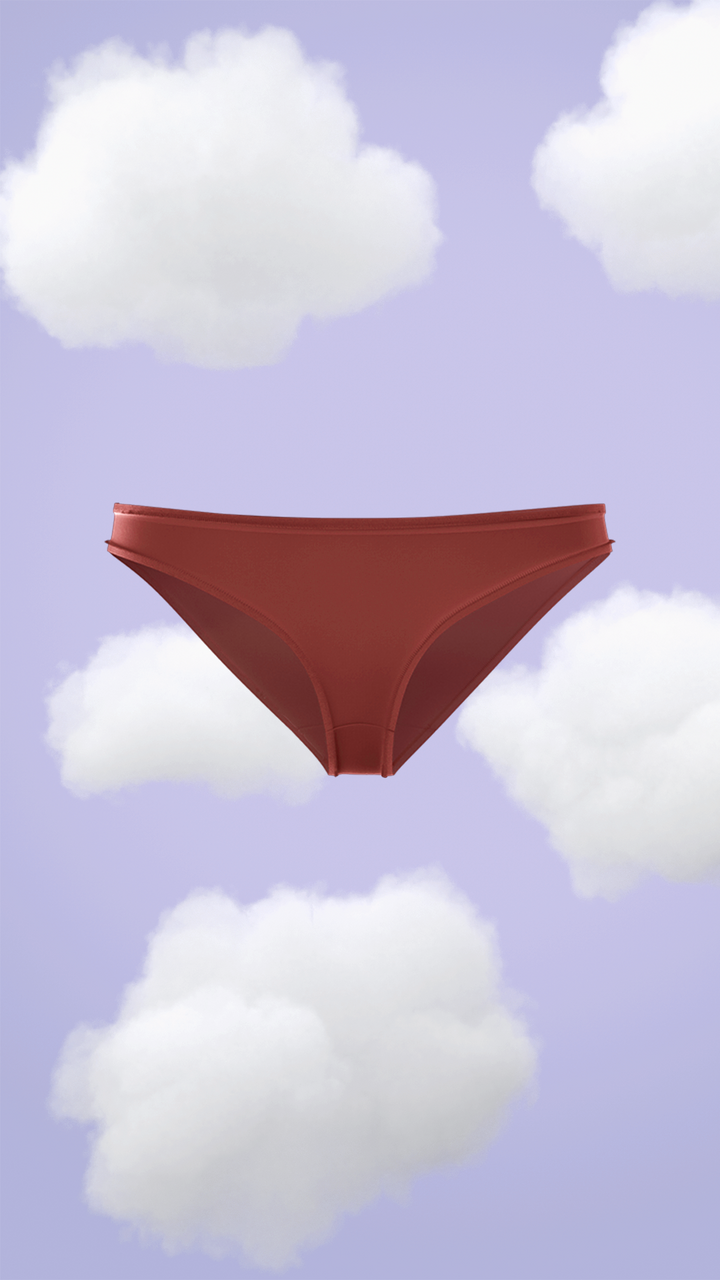 Glow Rouge Supima Modal Bikini Nessies