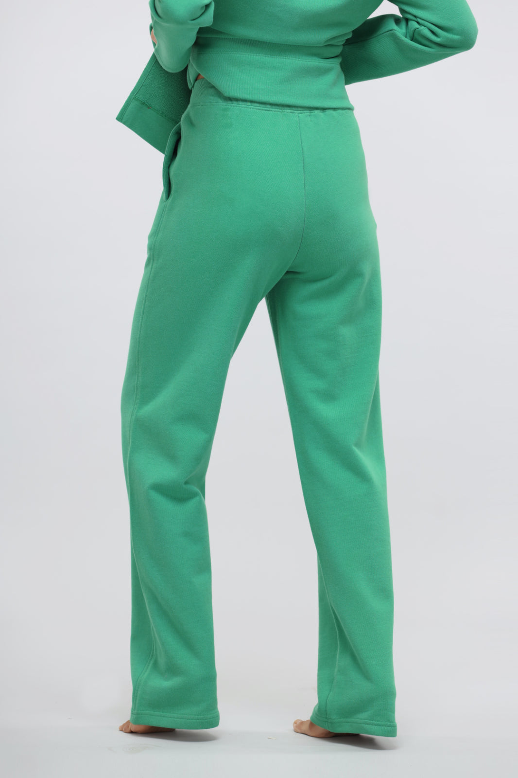 Green Bee Terry Straight Travel Pant, back view, comfortable and stylish design.